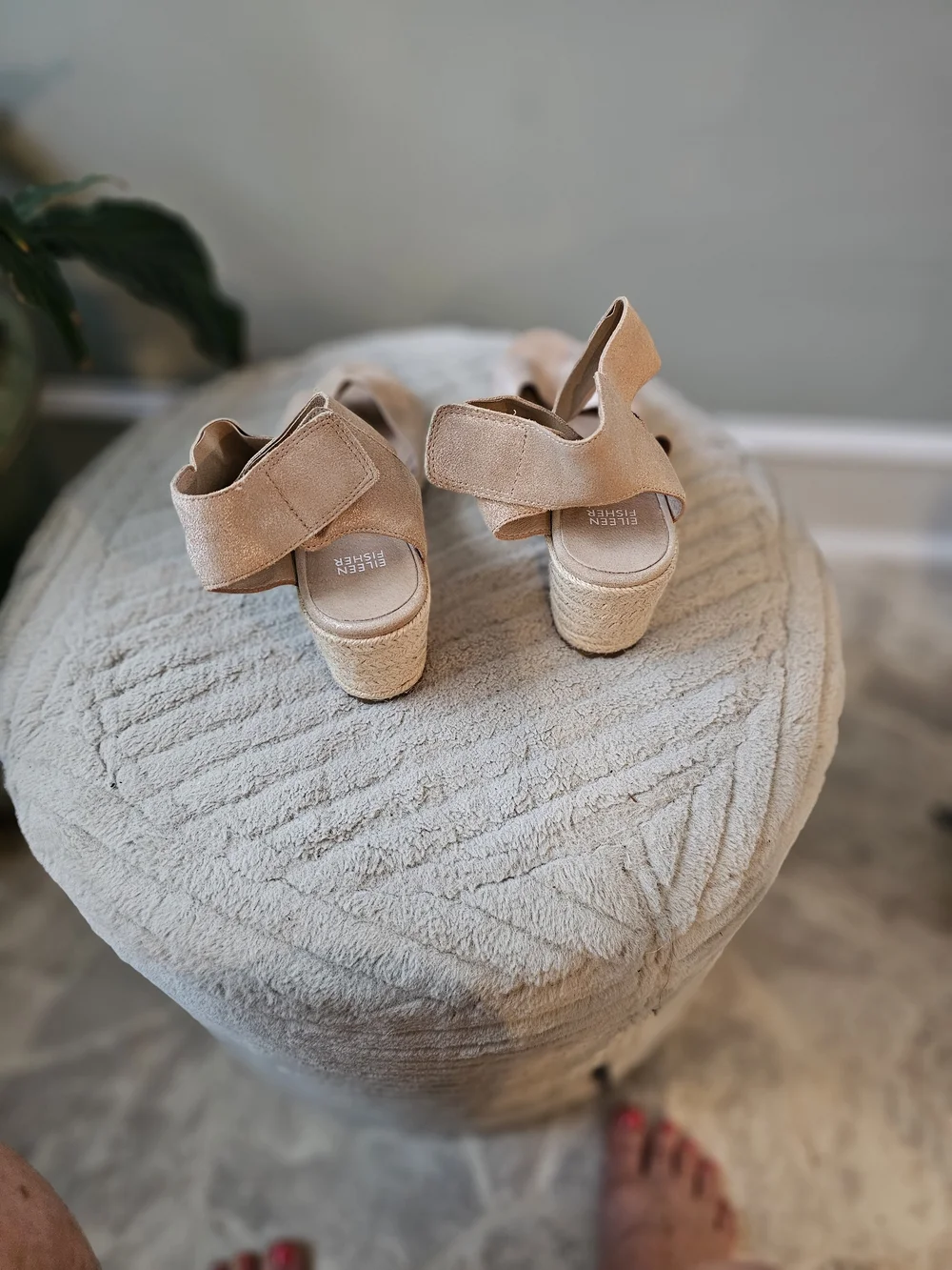 Eileen Fisher eileen fisher